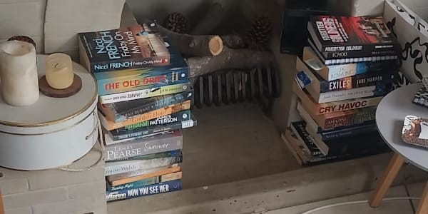 A Fireplace, A Few Logs… and Two Books That Found a Home The other day, I