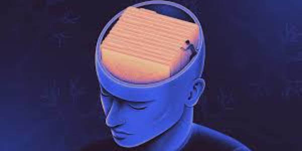 A memory like an elephant It has been said that elephants have excellent