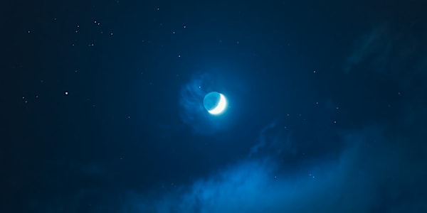 Malignant When image is chosen over substance....A fable that's perfect for