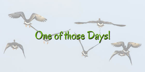 One of Those Days I was having one of those days, actually I could say one