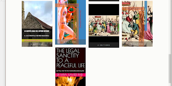 What AI had to say about my Legal Sanctity of Marriage Series:- Book 8