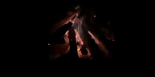 Instinctual Destruction I’ve burned two books in my life and purposely