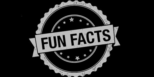 Timelessness Fun Facts! (compilation) 1) Wyrd Gods is dedicated to My Lord.