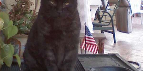 1/23 Friday 2:17 PM -13° Listening to: “Every Morning” by Sugar