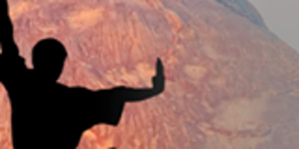 Get a Free PDF Copy of the book JOSHUA'S REVENGE! To whet your appetite for