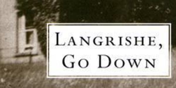 Langrishe, Go Down by Aidan Higgins &nbsp;A new(2016) edition with the