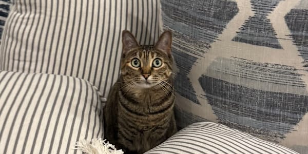 The Origin Story - Where the Ideas Began When I first walked into my