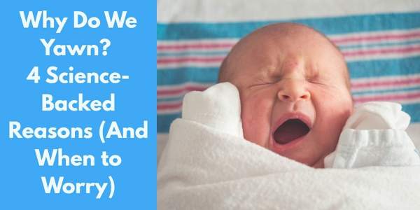 Why Do We Yawn? 4 Science-Backed Reasons (And When to Worry) Did you catch