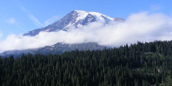 Going Home The old addage of, you can't go back home has always interested