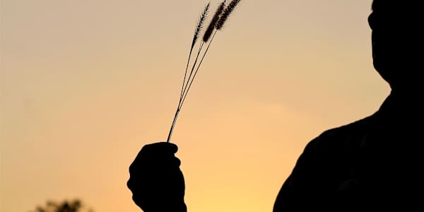 A Letter Grandpa Wrote – Don’t Be Afraid Sunday Beat | Don’t Be