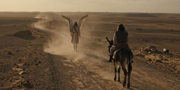Balaam’s Donkey: Truth from Unlikely Sources The most expensive consulting