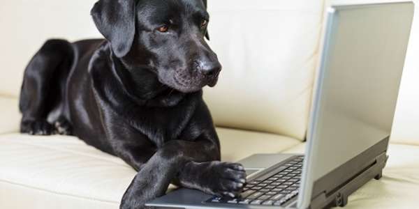 They Say It's A-OK I have confirmation from my publishing buddies that