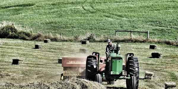 What if We Were Made of Grass? A farm poem on surrender and purpose.&nbsp;