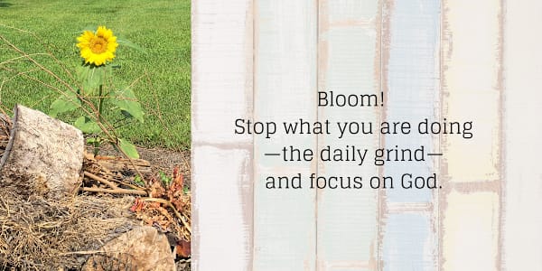 Bloom So here’s what I want you to do, God helping you: Take your everyday,