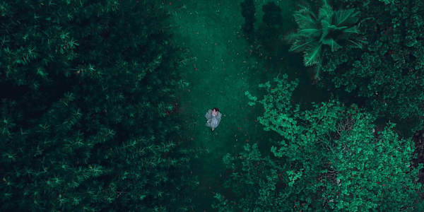 Bohemia The lost haired, the long-haired, the bearded, and the massive in