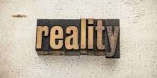 The plasticity of individual reality. "Individual reality is plastic,