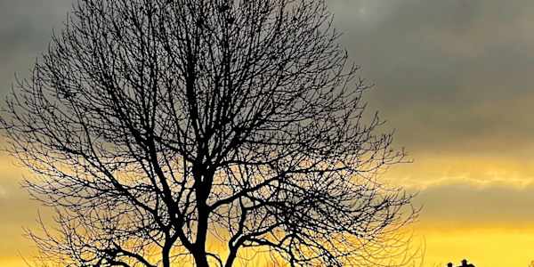 A Bare-limbed Season