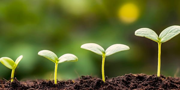 Growth Opportunity “But the Holy Spirit produces this kind of fruit in our