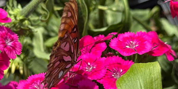 Some catching up to do, that's for sure. Well September came with a