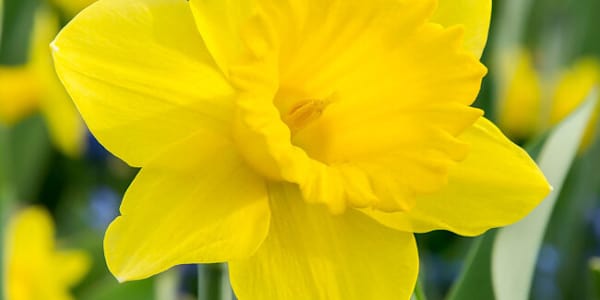 A BEAUTIFUL SPRING-LIKE DAY (3/14/2025) Although we’re officially a week