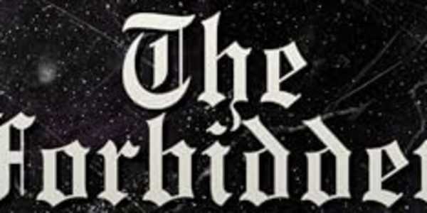 A Dark and Spicy Read The Forbidden is a captivating debut romance by L.T.