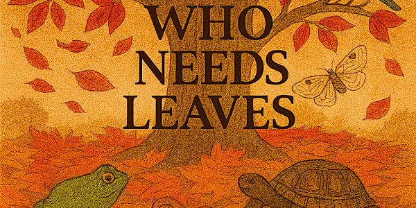 Who Needs Leaves? Once the foliage on maple, oak, gingko, birch, poplar,