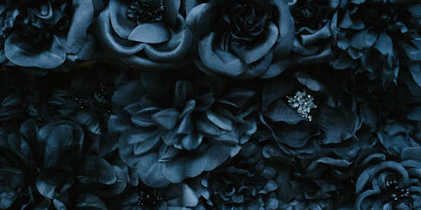 Is This Thing On? Well, I did it.I’ve officially made the website I put off