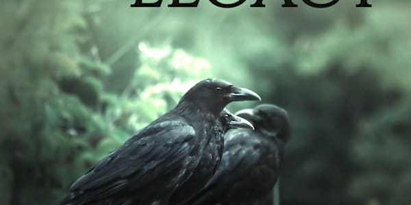 Bancroft Hollow Paranormal 