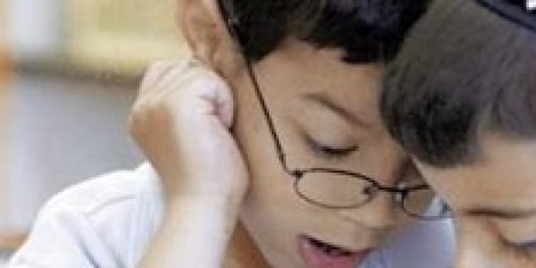 Ethnicity &nbsp; &nbsp; This passage emphasizes that ethnicity or bloodline