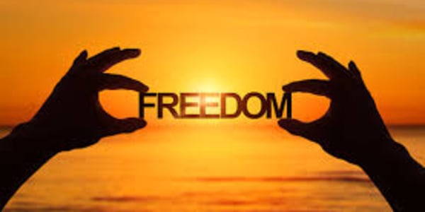 Freedom You and I are not free in the physical world. It is impossible that