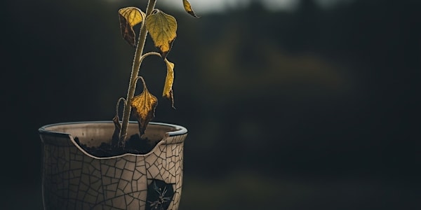 Am I A Narcissist? An Internal Monologue of Shame Eight surgeries deep, and