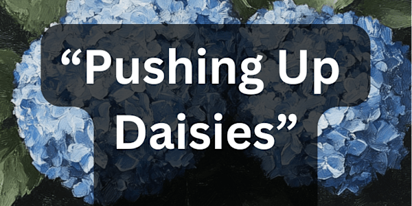 🎉 Big Updates, New Stories & Sneak Peeks! I know, I know… it’s been a