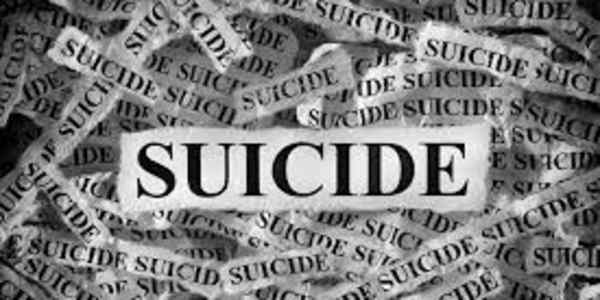 Societal Suicide Almost all societies or civilizations die of suicide and