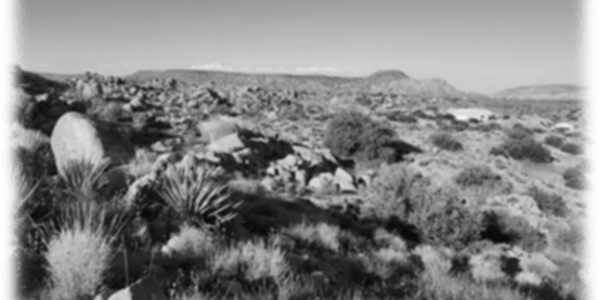 A Family Mystery in the California Desert What started as a simple