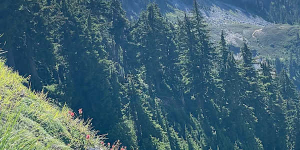 The Mountain That Looks Like a Tooth Hiking the real North Cascades Trail