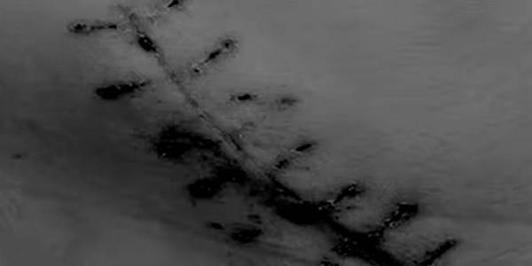 Cicatrix "Once enraptured,&nbsp;Now all that remains is the memory of