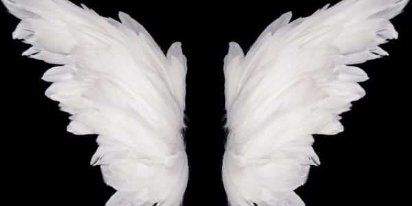  Awaiting your light
I stumble in life, so blind
Permitted to exist
But not