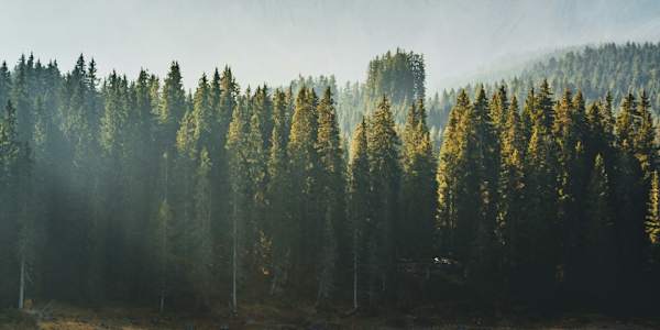 The Mental Fitness Blueprint: How to Strengthen Your Ability to Focus Do