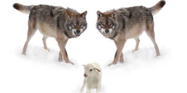 Democracy One of the gravest political and social mistakes many in the west