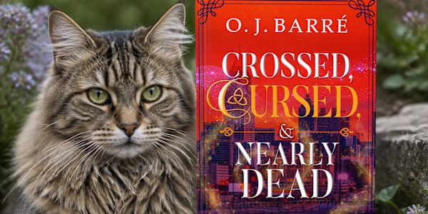 Magic, Midlife, and the Missing: The Big Themes in Crossed, CURSED, &