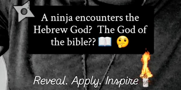 What is this ninja series really about?