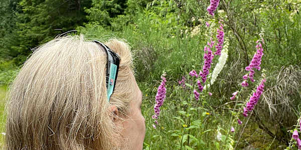 So Big, So Small I had a change of perspective - literally -&nbsp; after