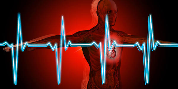 Hi. I'm Your Mortality This is a piece I wrote for BIZCAT360˚ in 2019 after