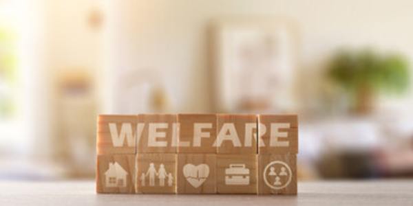 Societal Suicide I believe it was Milton Friedman who observed that you