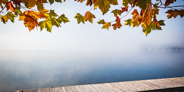 A Love Letter to Switzerland | Travel Essay 