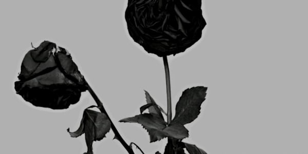 Worthless You should have loved him.&nbsp;There was no purer