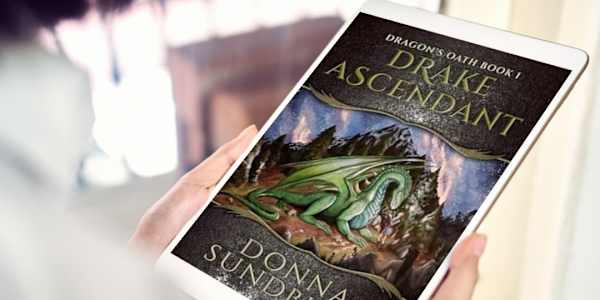 Why I Wrote Drake Ascendant Have you ever had a single spark of an idea