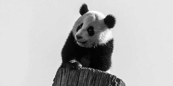 The Orpanda, Last Gift of Hephaestus Hello everyone! Welcome to my blog.