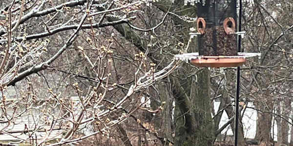 Ice, snow, and book news Many of you have asked when my next book is coming