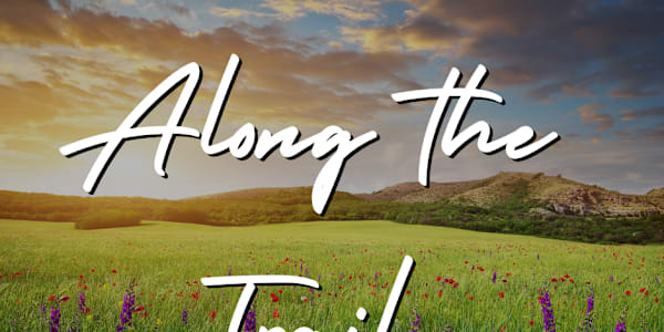 Release date! Hello, Trail family -&nbsp;We finally have a release date: